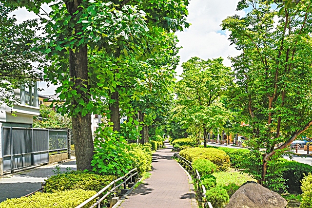 akatsutsumi009_img022