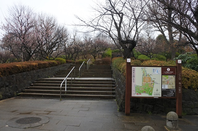 umagaoka3-img001