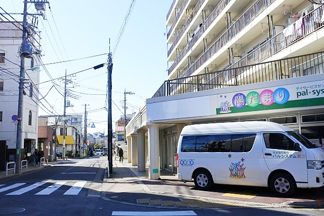 sakura-8
