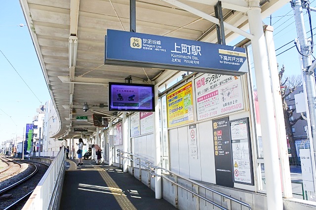 sakura-1