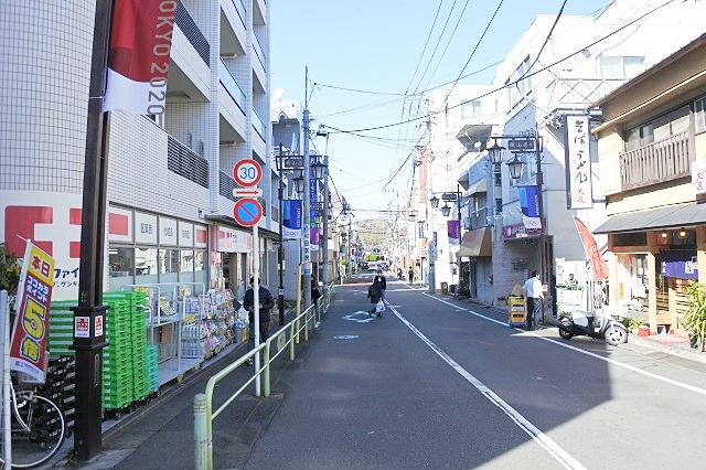 sakura-3