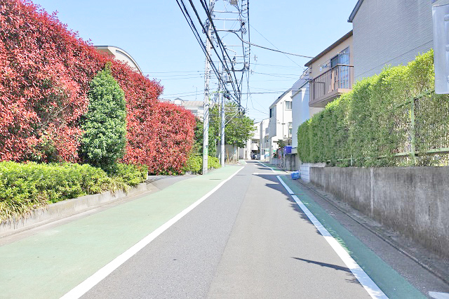 前面道路3