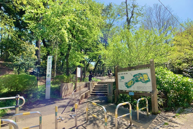 林試の森公園