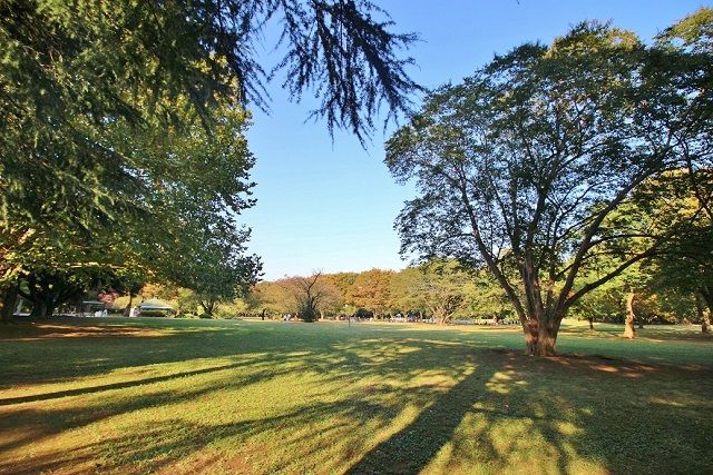 砧公園2