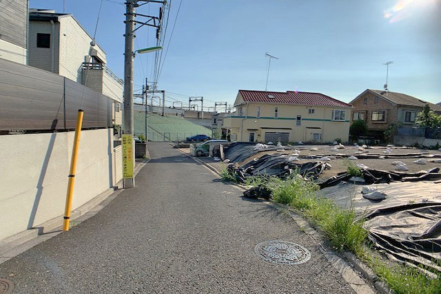前面道路4