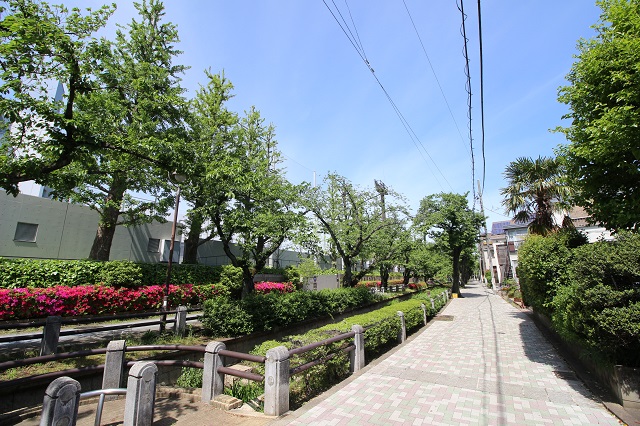 呑川緑道