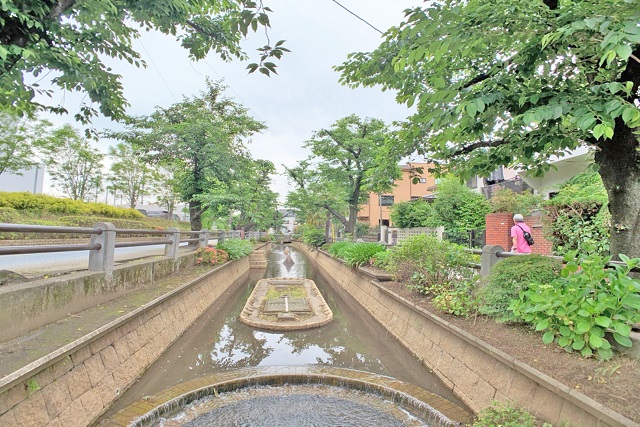 呑川