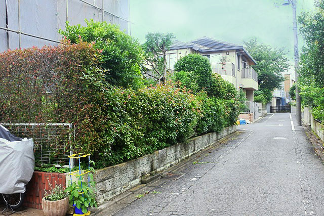 sakuragaoka-tochi002