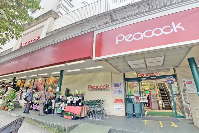 mita5-17-6_peacock