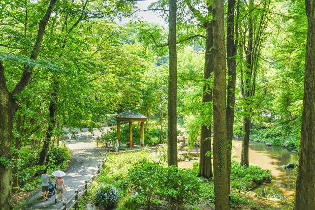 林試の森公園4