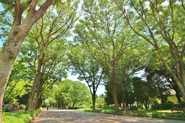 駒沢公園(西口)
