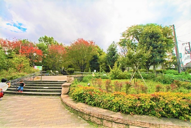 羽根木公園2