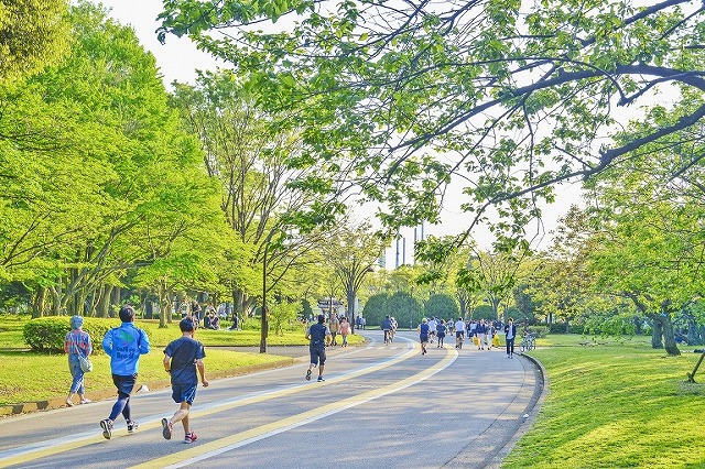駒沢公園2