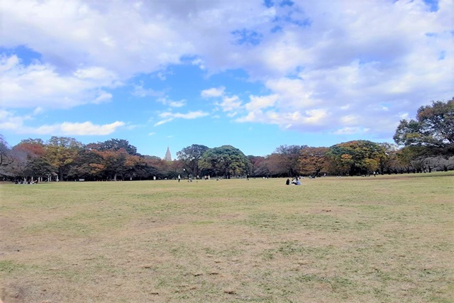 代々木公園1