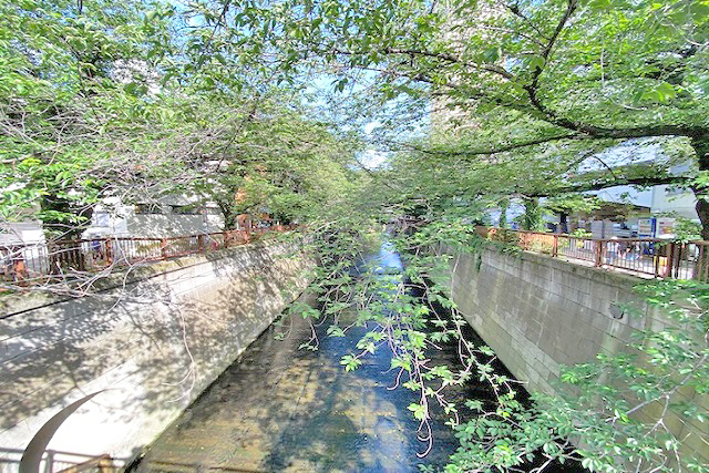 目黒川1