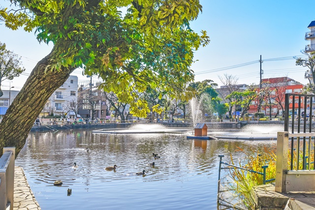 清水池公園1