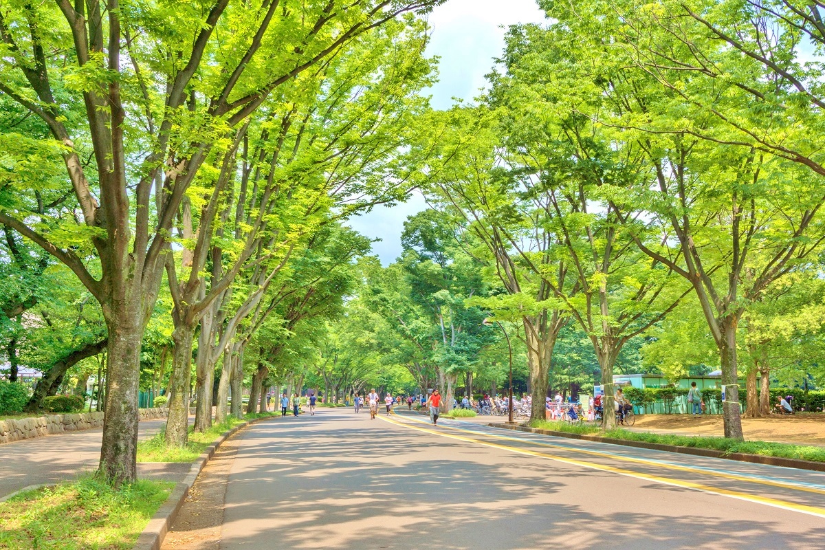 駒沢公園