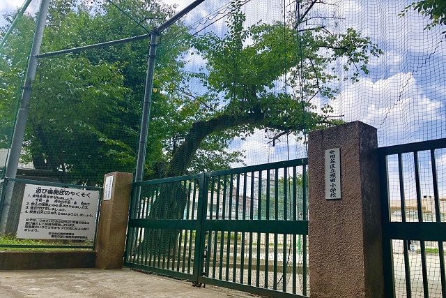 瀬田小学校①
